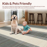 Ultra Soft Area Rug, Non Slip, Stain Resistant, Washable Area Rugs for Living Room, Bedroom, Elegant Striped Monochrome Aesthetic(Beige)
