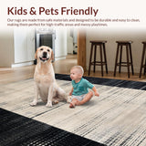 Ultra Soft Area Rug, Non Slip, Stain Resistant, Washable Area Rugs for Living Room, Bedroom, Trendy Minimalist Geometric Checkers(Gray)