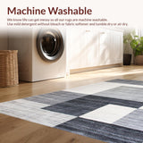 Ultra Soft Area Rug, Non Slip, Stain Resistant, Washable Area Rugs for Living Room, Bedroom, Sleek Monochrome Abstract Artistry(Gray)