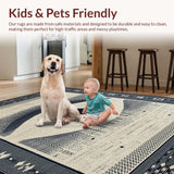 Ultra Soft Area Rug, Non Slip, Stain Resistant, Washable Area Rugs for Living Room, Bedroom, Chic Neutral Tones with Tassels(White)