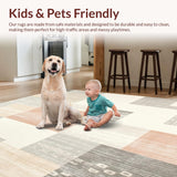 Ultra Soft Area Rug, Non Slip, Stain Resistant, Washable Area Rugs for Living Room, Bedroom, Boho Retro Area with Abstract Beige Checkerboard and Artistic Linework(Gray)