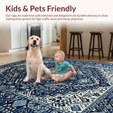 Ultra Soft Area Rug, Non Slip, Stain Resistant, Washable Area Rugs for Living Room, Bedroom, Chic Minimalist Lattice Design(Blue)