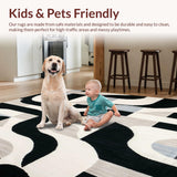 Ultra Soft Area Rug, Non Slip, Stain Resistant, Washable Area Rugs for Living Room, Bedroom, Contemporary Geometric Arc Stylish Black Cream Patterned Area(Black)