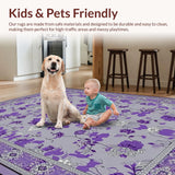 Ultra Soft Area Rug, Non Slip, Stain Resistant, Washable Area Rugs for Living Room, Bedroom, Bold Modern Shaggy Aesthetic(Purple)