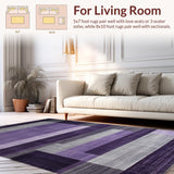 Ultra Soft Area Rug, Non Slip, Stain Resistant, Washable Area Rugs for Living Room, Bedroom, Sophisticated Plush Modern Interior Element(Purple)