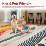 Ultra Soft Area Rug, Non Slip, Stain Resistant, Washable Area Rugs for Living Room, Bedroom, Trendy Modern Rainbow Palette(Orange)