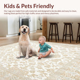 Ultra Soft Area Rug, Non Slip, Stain Resistant, Washable Area Rugs for Living Room, Bedroom, Area Small Entryway Boho Accent Floor Cover Distressed(Beige)