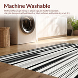 Ultra Soft Area Rug, Non Slip, Stain Resistant, Washable Area Rugs for Living Room, Bedroom, Monochrome Stripe Cascade Rug Featuring Sleek Graphic Line Motif(Black)