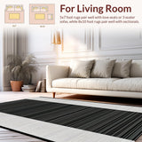 Ultra Soft Area Rug, Non Slip, Stain Resistant, Washable Area Rugs for Living Room, Bedroom, Sleek Earth Tone Linear Patterns(Black)