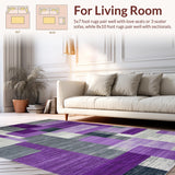 Ultra Soft Area Rug, Non Slip, Stain Resistant, Washable Area Rugs for Living Room, Bedroom, Stylish Lattice Patterned Elegance(Purple)