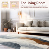 Ultra Soft Area Rug, Non Slip, Stain Resistant, Washable Area Rugs for Living Room, Bedroom, Elegant Distressed Area Rug with Abstract Swirl Design in Neutral Tones(Gray)