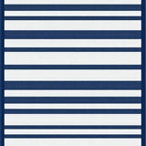 Ultra Soft Area Rug, Non Slip, Stain Resistant, Washable Area Rugs for Living Room, Bedroom, Chic Beachside Linear Design(Blue)