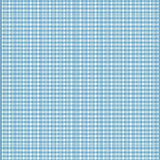 Coastal Gingham Geometric Flair(Blue)