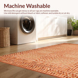 Ultra Soft Area Rug, Non Slip, Stain Resistant, Washable Area Rugs for Living Room, Bedroom, Terracotta Cozy Shag Elegance(Beige)