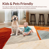 Ultra Soft Area Rug, Non Slip, Stain Resistant, Washable Area Rugs for Living Room, Bedroom, Modern Plush Area Rug for Dining Room(Orange)