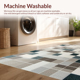Ultra Soft Area Rug, Non Slip, Stain Resistant, Washable Area Rugs for Living Room, Bedroom, Non-Slip Low Pile Rug for Pet-Friendly Dining Spaces(Beige)