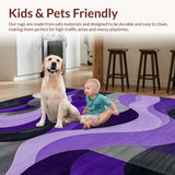 Ultra Soft Area Rug, Non Slip, Stain Resistant, Washable Area Rugs for Living Room, Bedroom, Contemporary Luxurious Shag Design(Purple)
