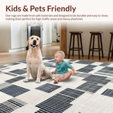 Ultra Soft Area Rug, Non Slip, Stain Resistant, Washable Area Rugs for Living Room, Bedroom, Contemporary Rug: Black And White Geometric Striped Design(Gray)