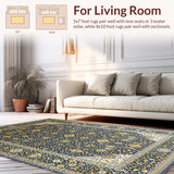 Ultra Soft Area Rug, Non Slip, Stain Resistant, Washable Area Rugs for Living Room, Bedroom, Chic Transitional Abstract Design(Black)