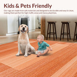Ultra Soft Area Rug, Non Slip, Stain Resistant, Washable Area Rugs for Living Room, Bedroom, Elegant Minimalist Earthy Palette(Orange)
