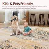 Ultra Soft Area Rug, Non Slip, Stain Resistant, Washable Area Rugs for Living Room, Bedroom, Chic Vintage Area Distressed Farmhouse Design(Beige)