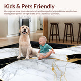 Ultra Soft Area Rug, Non Slip, Stain Resistant, Washable Area Rugs for Living Room, Bedroom, Sleek Black Gold Abstract Swirl(Black)