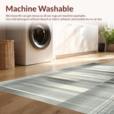 Ultra Soft Area Rug, Non Slip, Stain Resistant, Washable Area Rugs for Living Room, Bedroom, Classic Black And White Striped Rug: Entryway Decor Doormat(Gray)