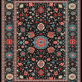 Ultra Soft Area Rug, Non Slip, Stain Resistant, Washable Area Rugs for Living Room, Bedroom, Modern Abstract Geometric Aesthetic(Black)