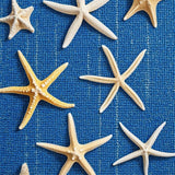Ultra Soft Area Rug, Non Slip, Stain Resistant, Washable Area Rugs for Living Room, Bedroom, Coastal Starfish Navy Living Room Rug(Blue)