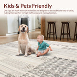Ultra Soft Area Rug, Non Slip, Stain Resistant, Washable Area Rugs for Living Room, Bedroom, Non Slip Beige Geometric Runner Modern Boho Print(Gray)