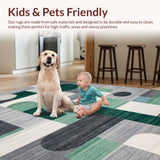 Ultra Soft Area Rug, Non Slip, Stain Resistant, Washable Area Rugs for Living Room, Bedroom, Vivid Modern Organic Shapes(Gray)