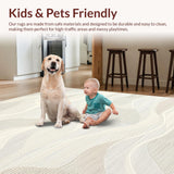 Ultra Soft Area Rug, Non Slip, Stain Resistant, Washable Area Rugs for Living Room, Bedroom, Sophisticated Cream Abstract Expression(Beige)