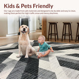 Ultra Soft Area Rug, Non Slip, Stain Resistant, Washable Area Rugs for Living Room, Bedroom, Entry Rug: Woven Graphic Lines Floor Art Doormat(Gray)