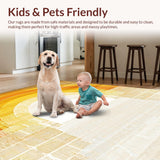Ultra Soft Area Rug, Non Slip, Stain Resistant, Washable Area Rugs for Living Room, Bedroom, Chic Minimalist Ombre Design(Yellow)
