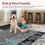 Ultra Soft Area Rug, Non Slip, Stain Resistant, Washable Area Rugs for Living Room, Bedroom, Modern Abstract Bedroom Minimalist Style Area Rug(Gray)