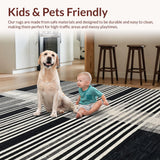 Ultra Soft Area Rug, Non Slip, Stain Resistant, Washable Area Rugs for Living Room, Bedroom, Sleek Black White Linear Patterned Rug with Striped Layered Geometric Design(Black)