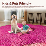 Ultra Soft Area Rug, Non Slip, Stain Resistant, Washable Area Rugs for Living Room, Bedroom, Pastel Pink Front Door Decor Absorbent Mat(Pink)