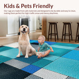 Ultra Soft Area Rug, Non Slip, Stain Resistant, Washable Area Rugs for Living Room, Bedroom, Contemporary Colorful Bedroom Non-Slip Rug(Blue)