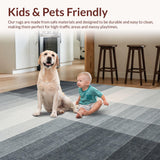 Ultra Soft Area Rug, Non Slip, Stain Resistant, Washable Area Rugs for Living Room, Bedroom, Premium Fade-Effect Rug With Slip-Resistant Backing For Kitchen Decor(Gray)