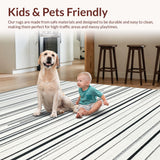 Ultra Soft Area Rug, Non Slip, Stain Resistant, Washable Area Rugs for Living Room, Bedroom, Heritage Stripe Entry Mat Timeless Parallel Lines Modern Graphic Rug(White)