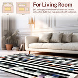 Ultra Soft Area Rug, Non Slip, Stain Resistant, Washable Area Rugs for Living Room, Bedroom, Heritage Pinstripe Rug Sleek Lines Dynamic Rhythm Modern Graphic Accent Pattern(Black)