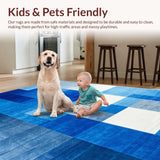 Ultra Soft Area Rug, Non Slip, Stain Resistant, Washable Area Rugs for Living Room, Bedroom, Contemporary High Traffic Dining Area Non-Shedding Carpet(Gray)