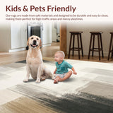 Ultra Soft Area Rug, Non Slip, Stain Resistant, Washable Area Rugs for Living Room, Bedroom, Artistic Brushstroke with Sophisticated Neutral Palette(Gray)