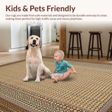 Ultra Soft Area Rug, Non Slip, Stain Resistant, Washable Area Rugs for Living Room, Bedroom, Cozy Rustic Western Decor Element(Beige)
