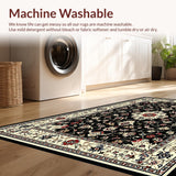Ultra Soft Area Rug, Non Slip, Stain Resistant, Washable Area Rugs for Living Room, Bedroom, Dramatic Black Ivory Geometric Fusion(Black)