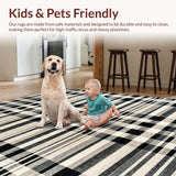 Ultra Soft Area Rug, Non Slip, Stain Resistant, Washable Area Rugs for Living Room, Bedroom, Urban Chic Rug Featuring Graphic Stripe Harmony and Monochrome Dash Artwork(Black)