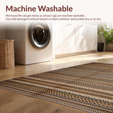 Ultra Soft Area Rug, Non Slip, Stain Resistant, Washable Area Rugs for Living Room, Bedroom, Sophisticated Neutral Tasseled Ensemble(Brown)