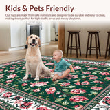 Ultra Soft Area Rug, Non Slip, Stain Resistant, Washable Area Rugs for Living Room, Bedroom, Whimsical Floral Abstract Aesthetic(Green)
