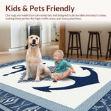 Ultra Soft Area Rug, Non Slip, Stain Resistant, Washable Area Rugs for Living Room, Bedroom, Coastal Gray Distressed Waves(Blue)