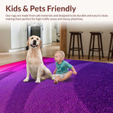 Ultra Soft Area Rug, Non Slip, Stain Resistant, Washable Area Rugs for Living Room, Bedroom, Gradient Pastel Girls Bedroom Plush Rug(Purple)
